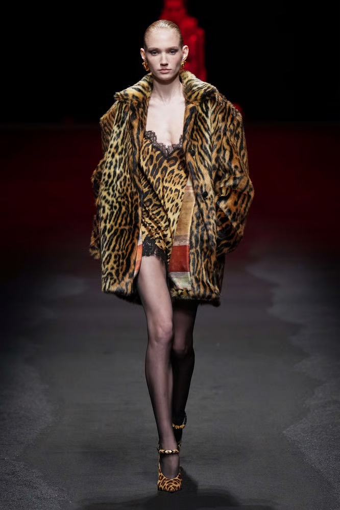 Roberto Cavalli - 秋冬2025 - 2026 - 女装 - 意大利 - 米兰 - ©Launchmetrics/聚光灯