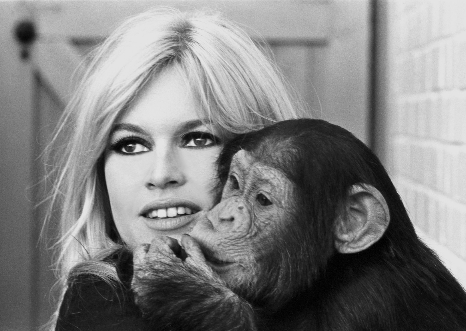 Brigitte Bardot