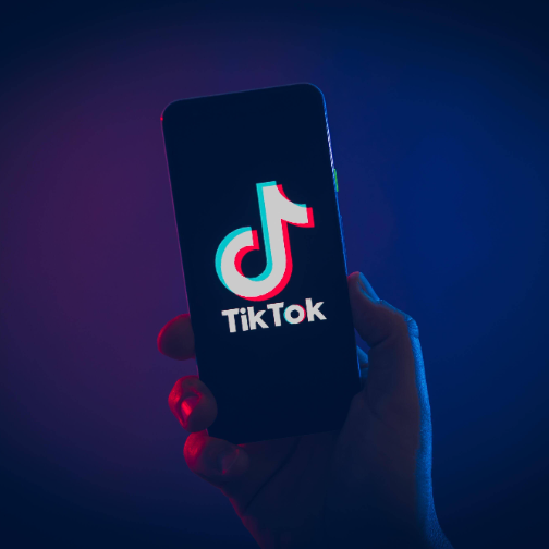 特朗普呼吁暂停可能禁止TikTok的法律