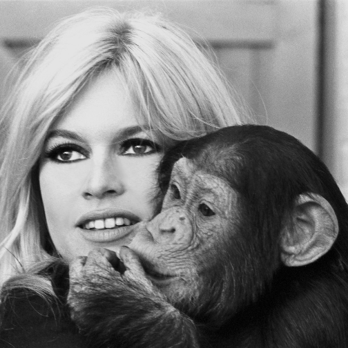 法国影史传奇碧姬·芭铎逝世