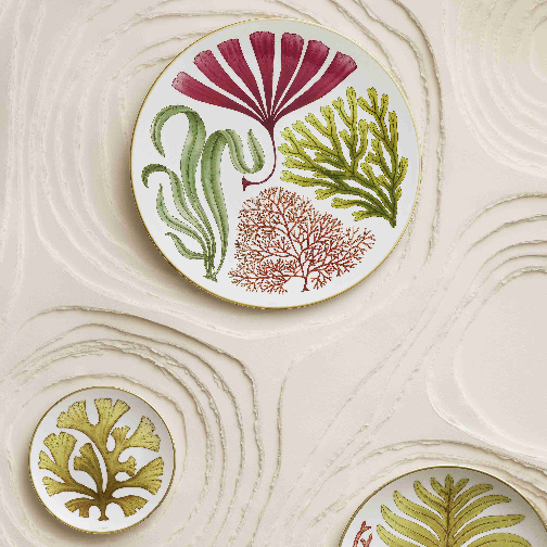 爱马仕发布Natures Marines海洋秘境餐瓷系列