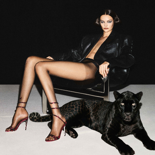 RENE CAOVILLA发布2026秋冬系列